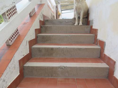 REHABILITACION DE FACHADA 2